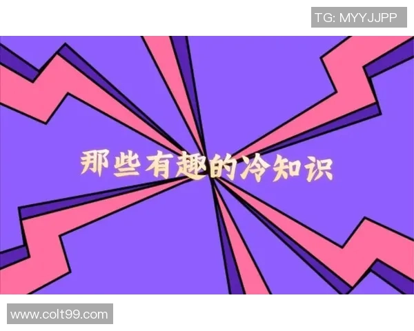 你不知道的VAR：十大冷知识大揭秘